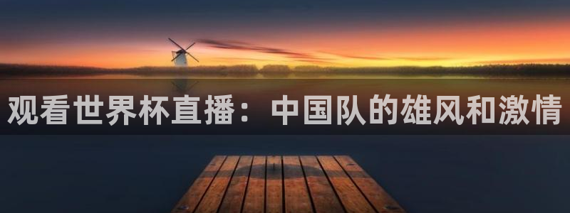 亚洲杯足球：观看世界杯直播：中国队的雄风和激情