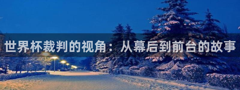 今天所有足球赛程表：世界杯裁判的视角：从幕后到前台的故事