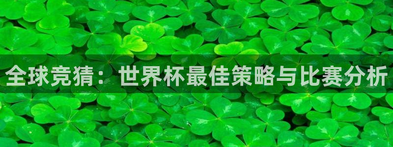 中国 世界杯：全球竞猜：世界杯最佳策略与比赛分析