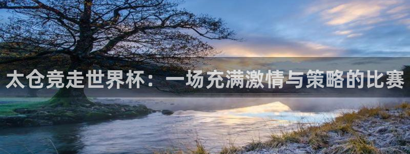 世界杯在线直播：太仓竞走世界杯：一场充满激情与策略的比赛