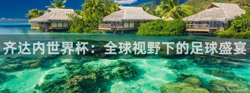 葡萄牙世界杯赛程：齐达内世界杯：全球视野下的足球盛宴