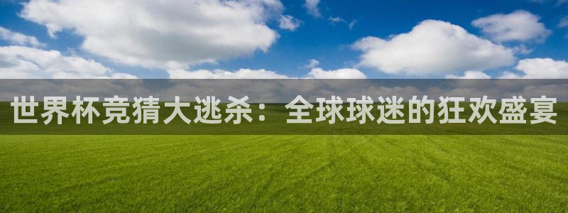 世界杯亚洲区预选赛积分榜：世界杯竞猜大逃杀：全球球迷的狂欢盛宴