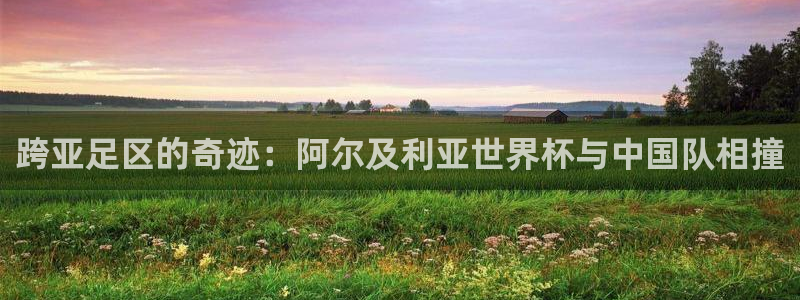 2026世界杯赛程：跨亚足区的奇迹：阿尔及利亚世界杯与中国队相撞