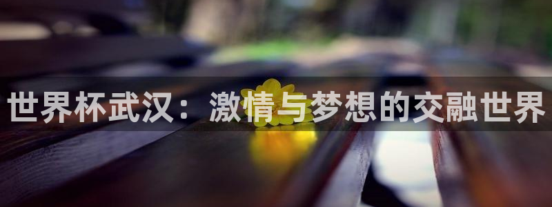 2026世界杯买球：世界杯武汉：激情与梦想的交融世界