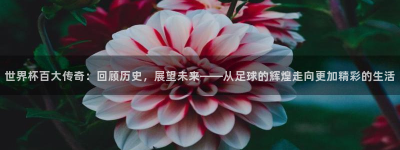 世界杯比赛：世界杯百大传奇：回顾历史，展望未来——从足球的辉煌走向更加精彩的生活