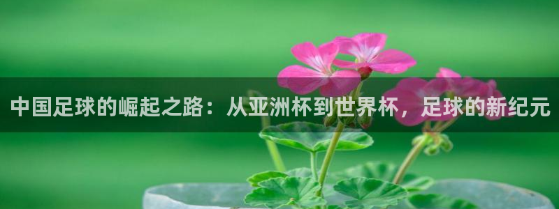 世界杯比赛时间：中国足球的崛起之路：从亚洲杯到世界杯，足球的新纪元