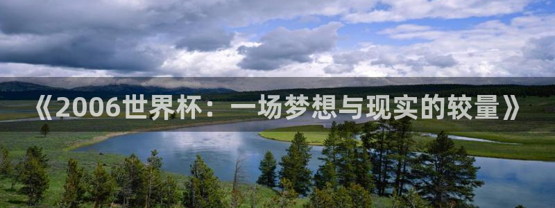 世界杯系列赛：《2006世界杯：一场梦想与现实的较量》