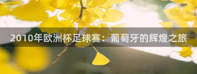 世预赛免费直播入口：2010年欧洲杯足球赛：葡萄牙的辉煌之旅