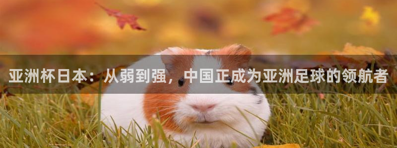 世界杯赛程表：亚洲杯日本：从弱到强，中国正成为亚洲足球的领航者