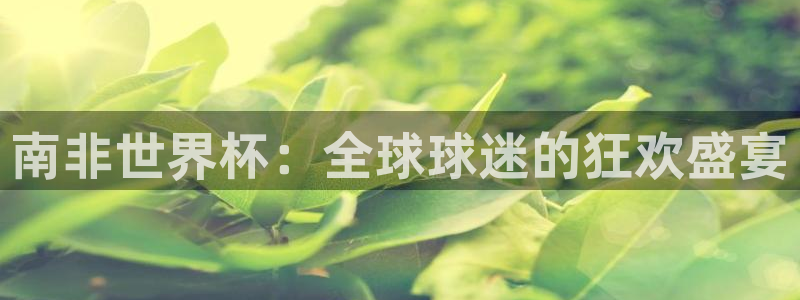 世界杯附加赛赛程表：南非世界杯：全球球迷的狂欢盛宴