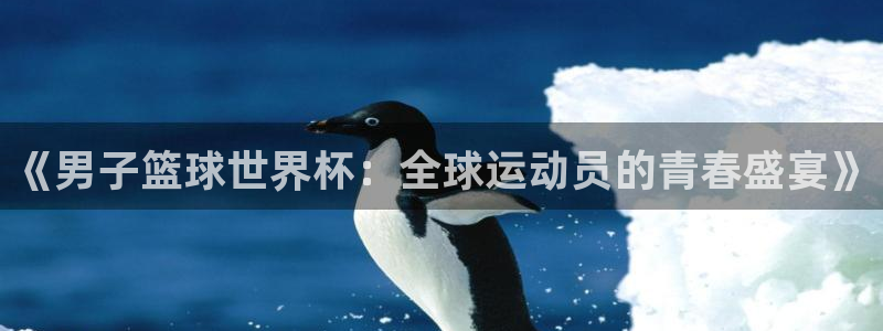 法国杯2026赛程表：《男子篮球世界杯：全球运动员的青春盛宴》