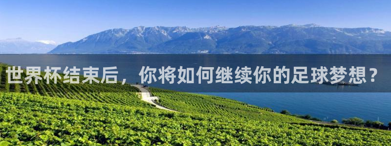 2026世界杯官网：世界杯结束后，你将如何继续你的足球梦想？
