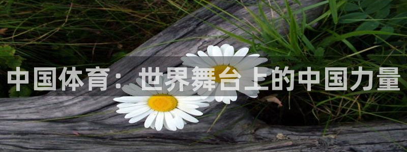 2026世界杯中国队：中国体育：世界舞台上的中国力量