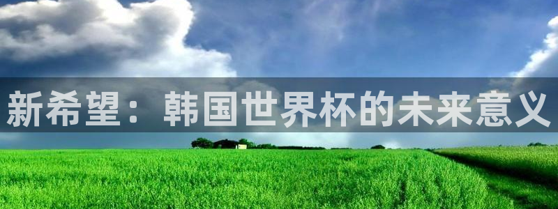 2026世界杯亚洲区预选赛：新希望：韩国世界杯的未来意义