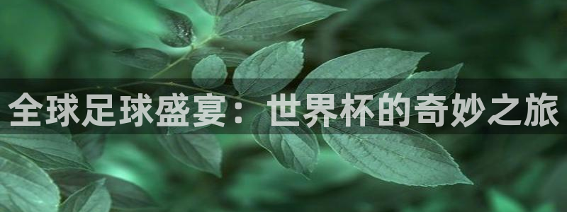 世界杯48支球队赛制：全球足球盛宴：世界杯的奇妙之旅